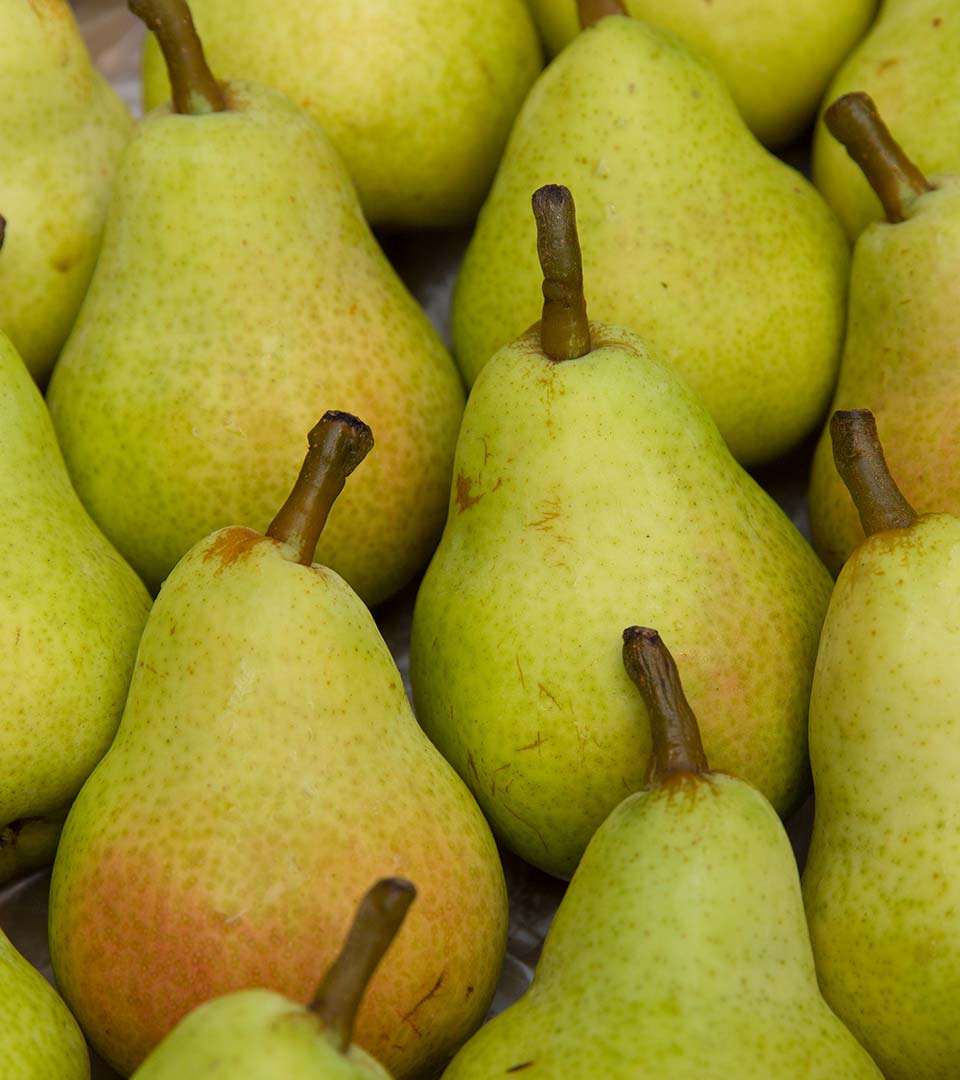 Pears